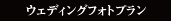 ウェディングフォトプラン